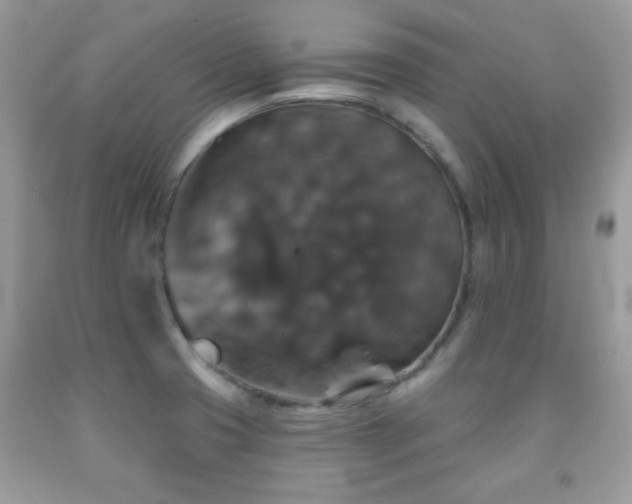 X0000092011425200709061523