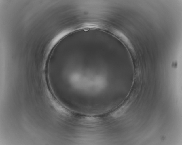 X0000092011427200709061523