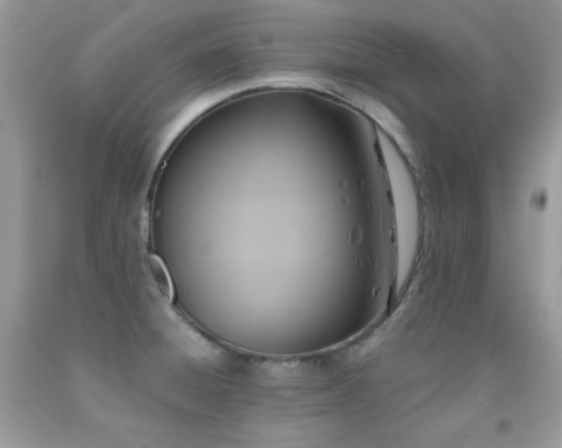 X0000092011428200709061523