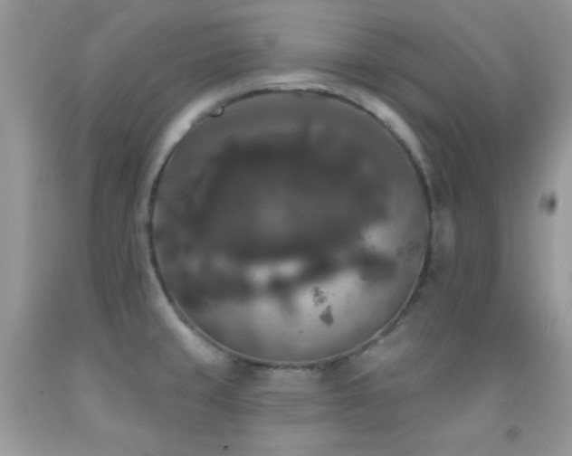 X0000092011429200709061523