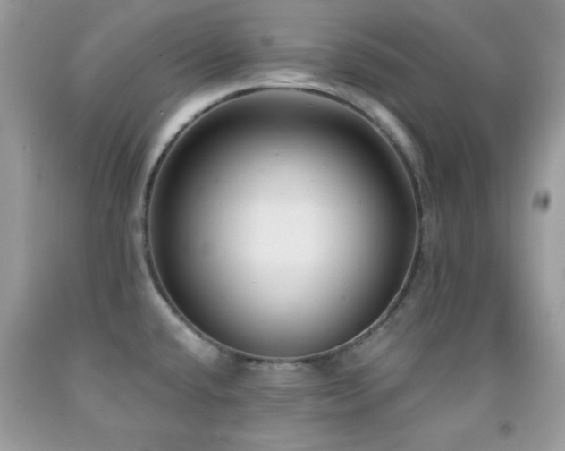X0000092011432200709061523