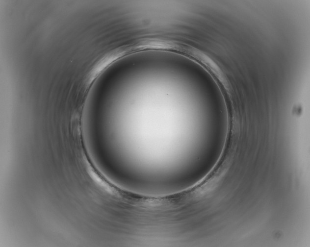 X0000092011433200709061523