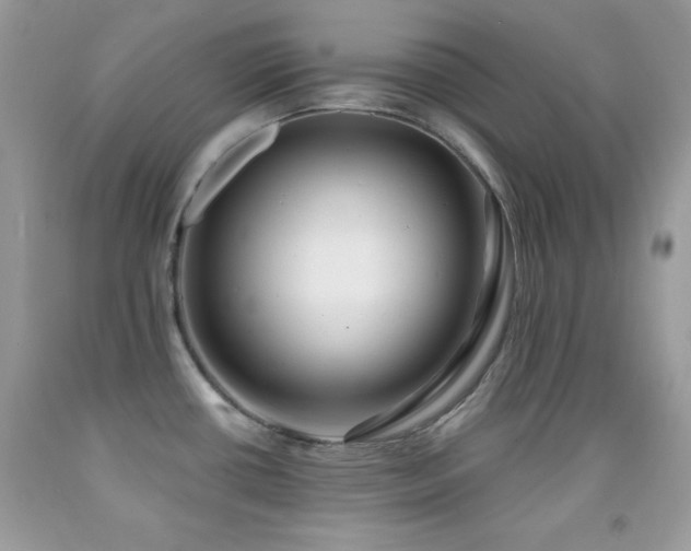 X0000092011434200709061523