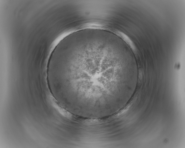 X0000092011435200709061523