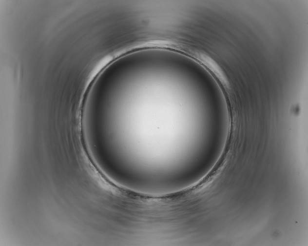X0000092011436200709061523