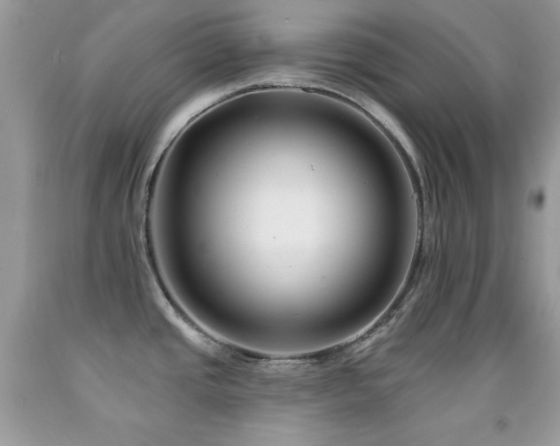 X0000092011437200709061523