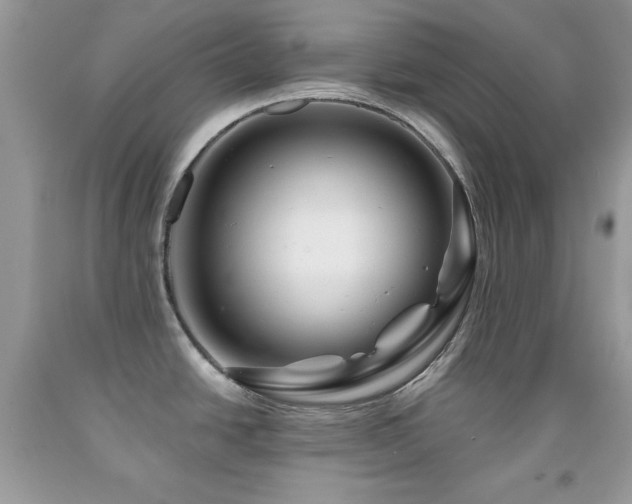 X0000092011438200709061523