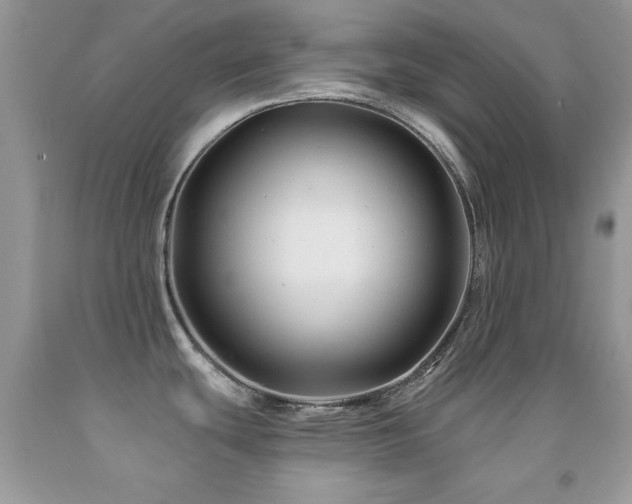 X0000092011439200709061523