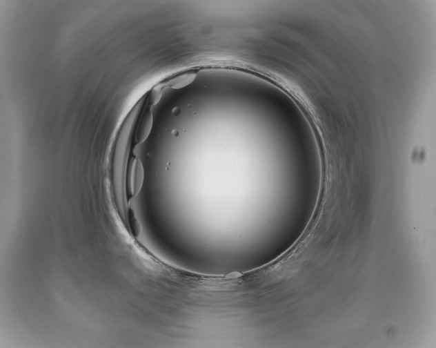 X0000092011440200709061523