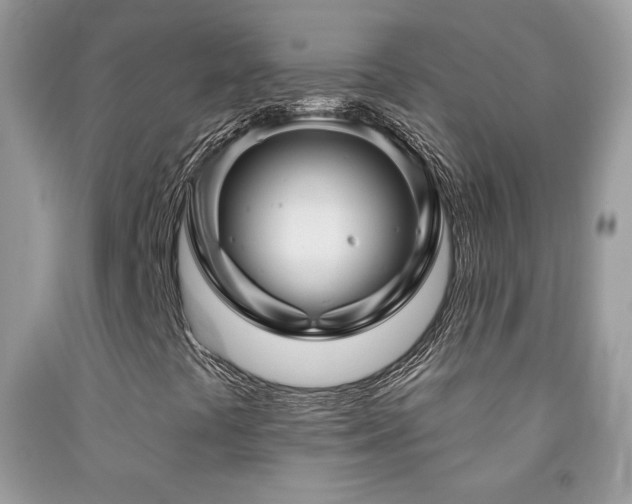 X0000092011441200709061523