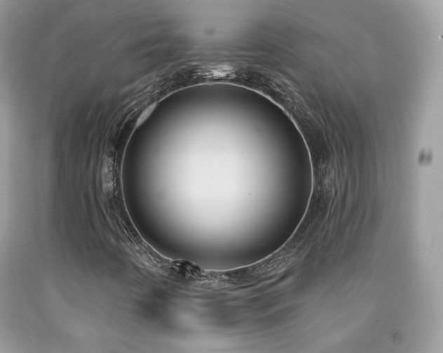 X0000092011442200709061523