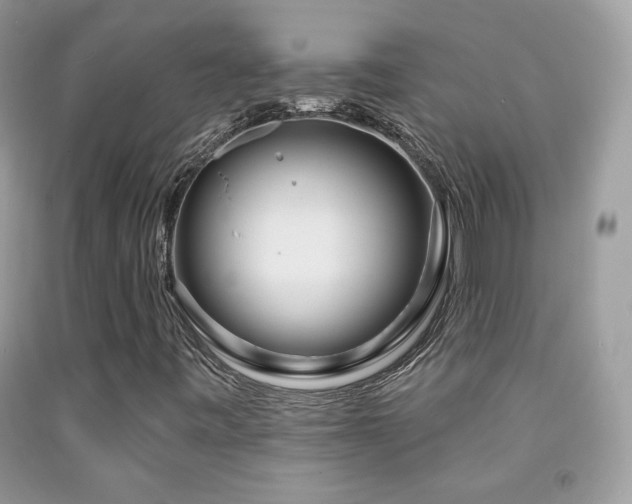 X0000092011443200709061523