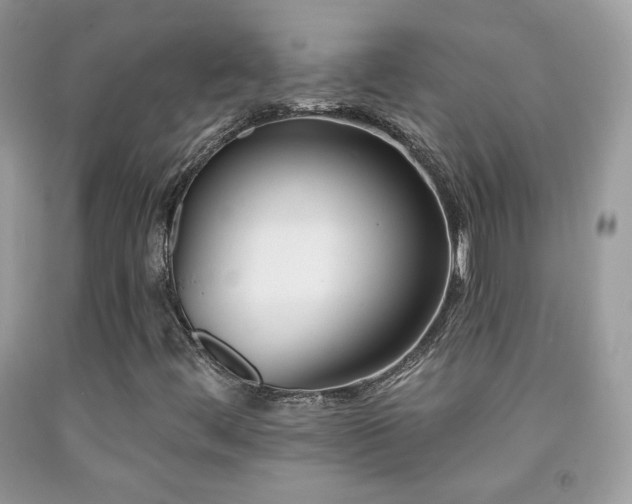 X0000092011444200709061523
