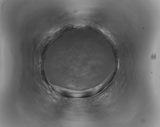 X0000092011445200709061523