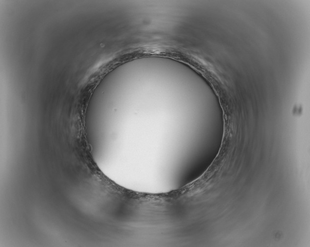 X0000092011446200709061523