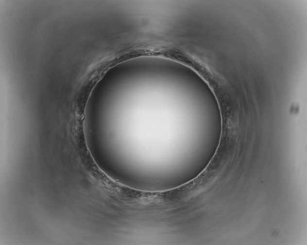 X0000092011447200709061523