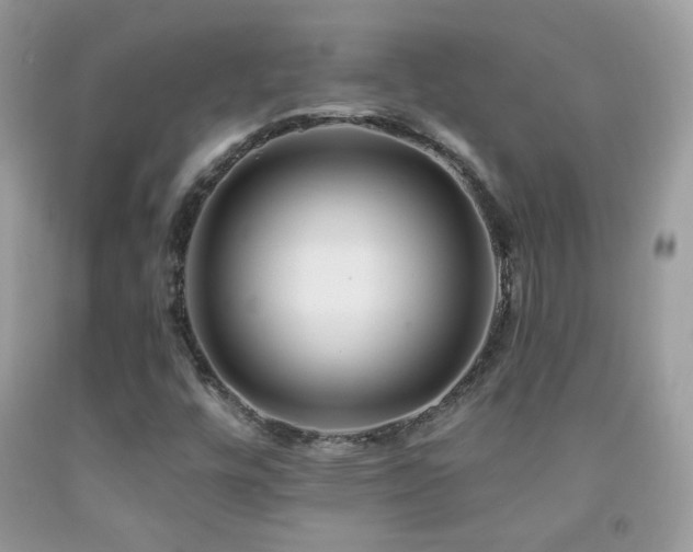 X0000092011448200709061522