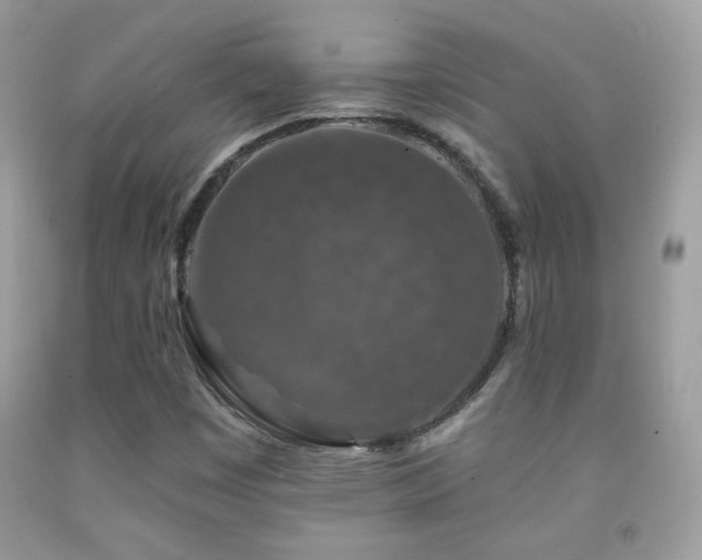 X0000092011449200709061522