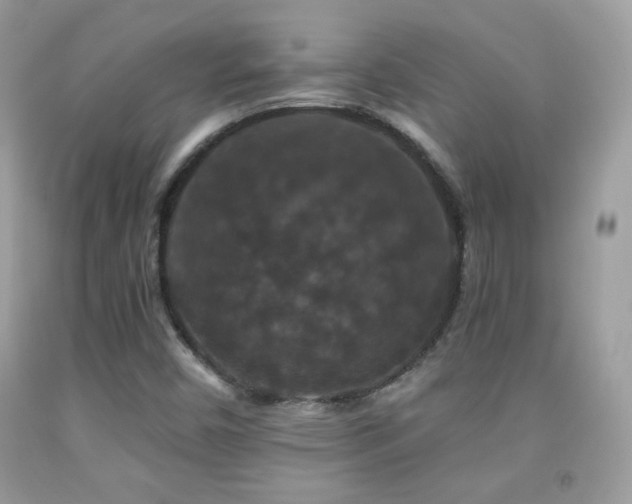 X0000092011450200709061522