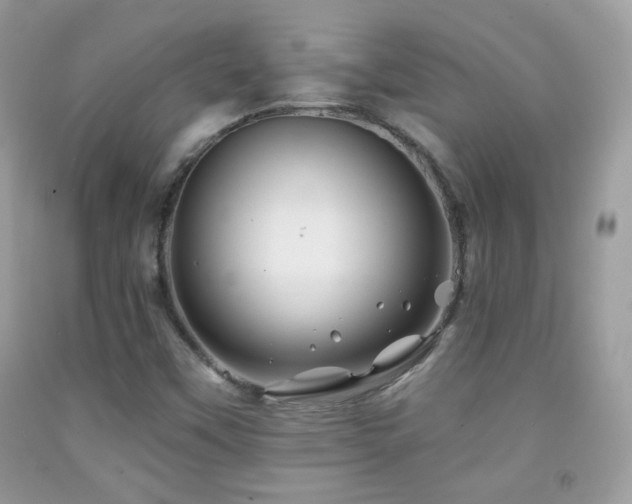 X0000092011451200709061522