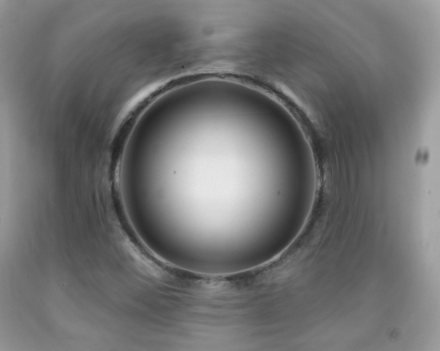 X0000092011452200709061522