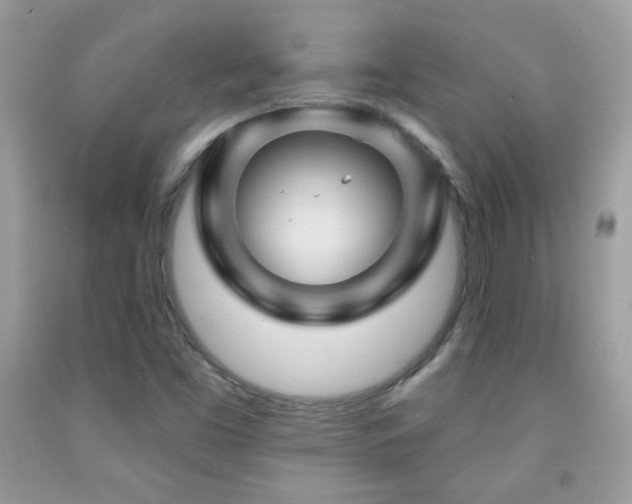 X0000092011453200709061522