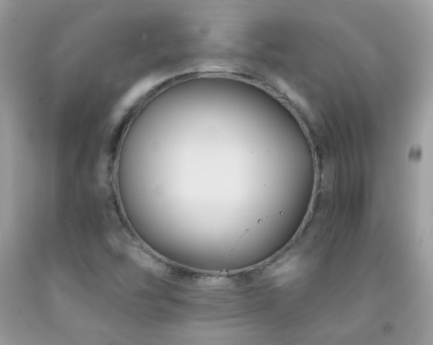 X0000092011454200709061522