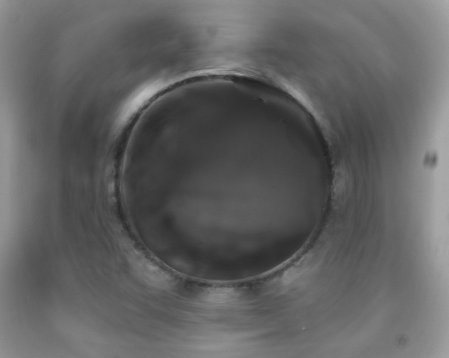 X0000092011455200709061522