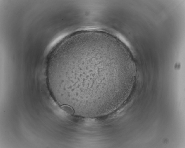 X0000092011456200709061522