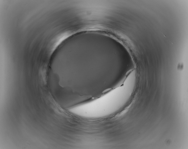 X0000092011457200709061522
