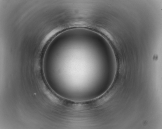 X0000092011458200709061522