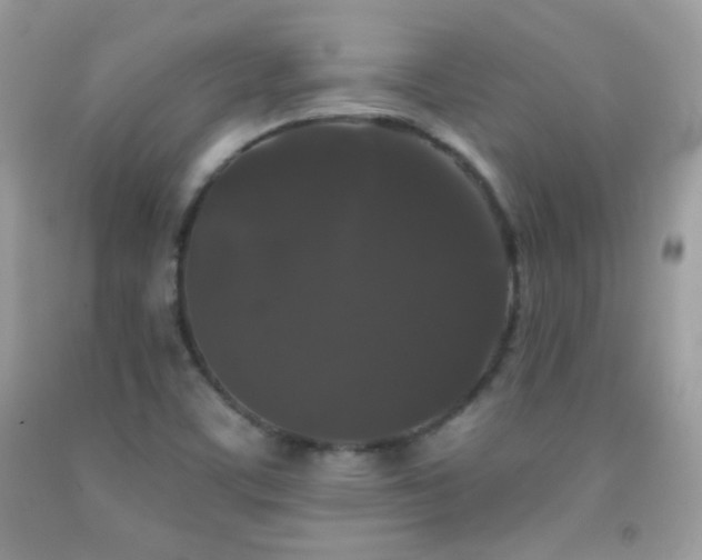 X0000092011459200709061522