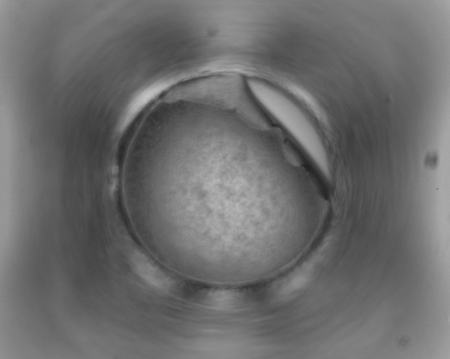X0000092011461200709061522