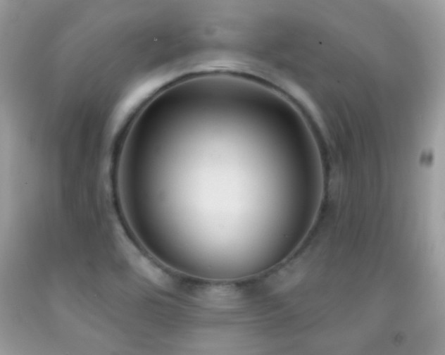 X0000092011464200709061522