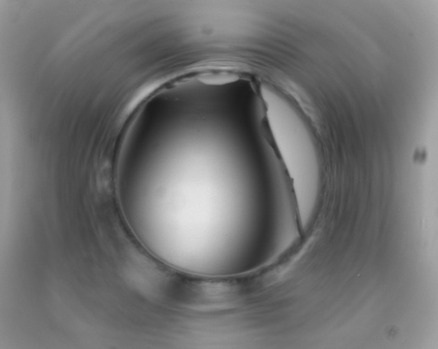 X0000092011465200709061522