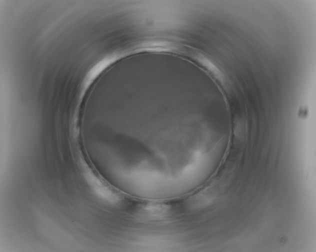 X0000092011466200709061522