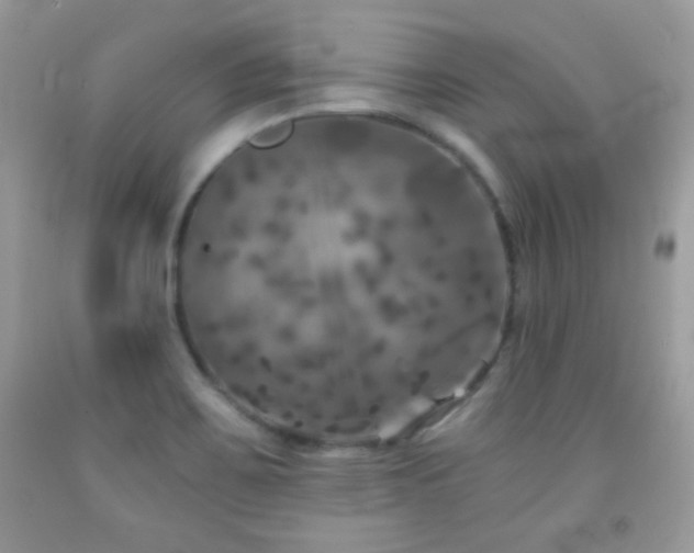 X0000092011467200709061522
