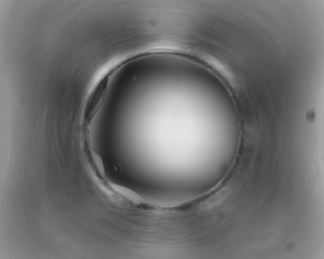 X0000092011469200709061522