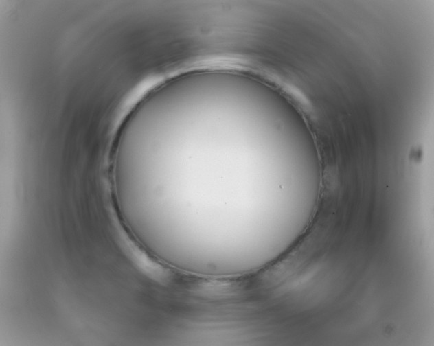 X0000092011470200709061522