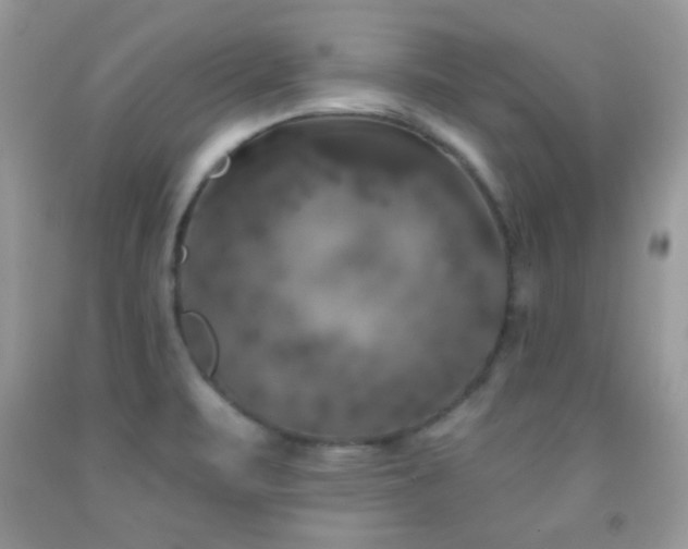 X0000092011471200709061522