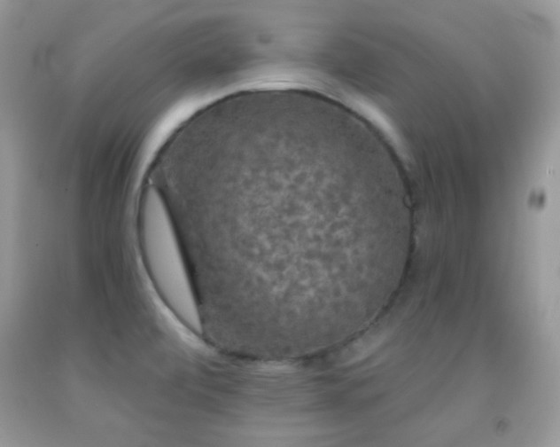 X0000092011472200709061522