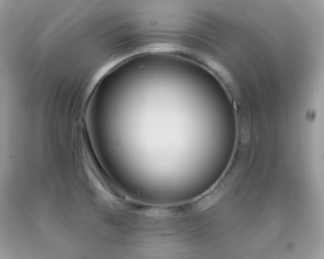 X0000092011473200709061522