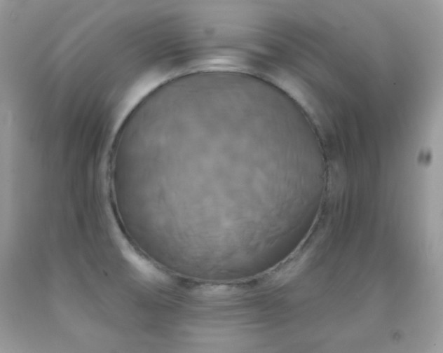 X0000092011474200709061522