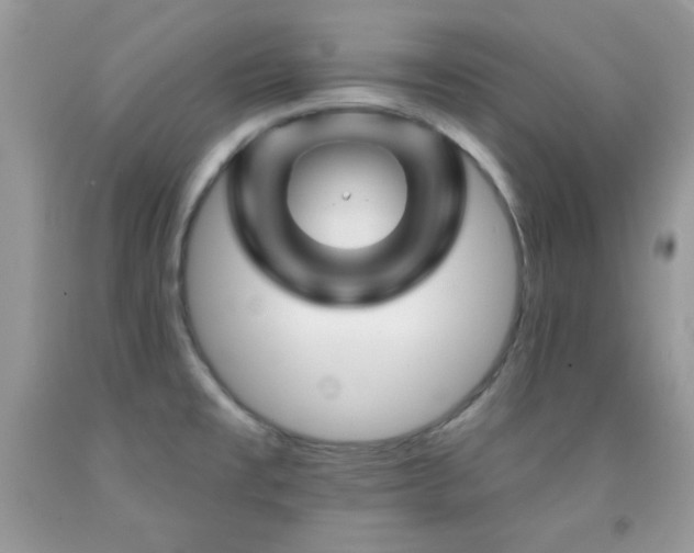 X0000092011477200709061522
