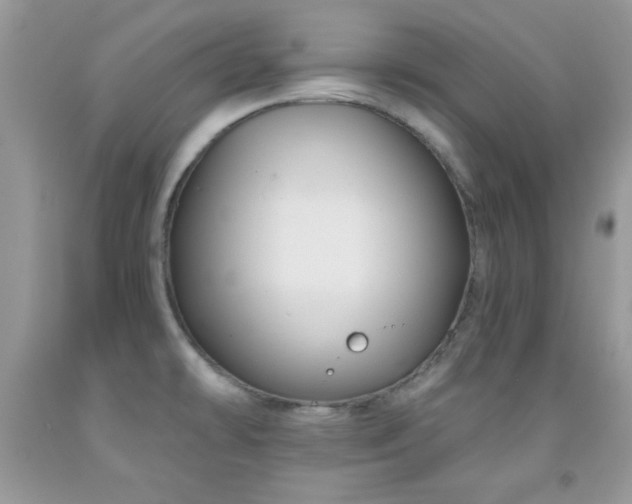 X0000092011478200709061522