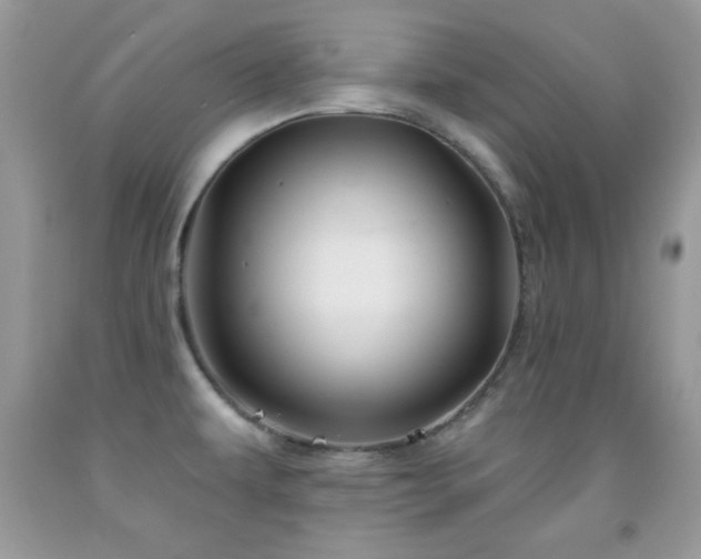 X0000092011479200709061522