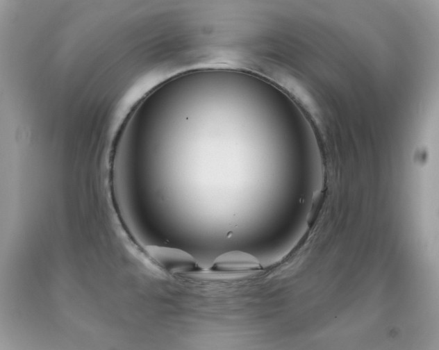 X0000092011480200709061522