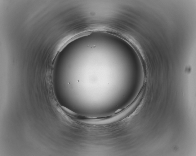 X0000092011481200709061522