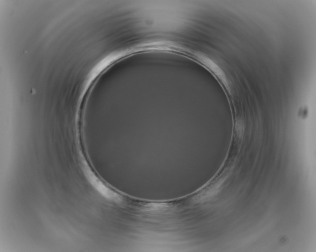 X0000092011482200709061522