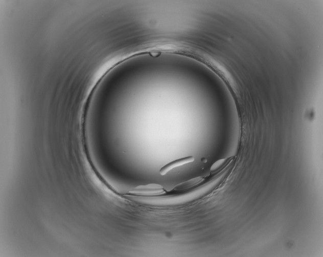 X0000092011483200709061522
